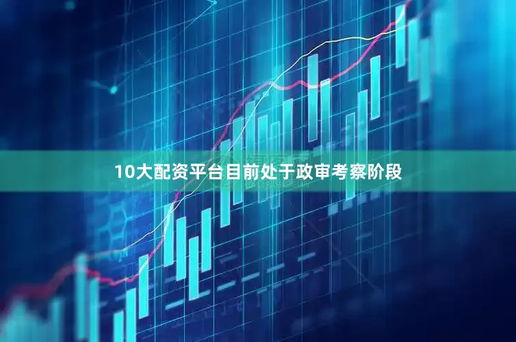 10大配资平台目前处于政审考察阶段