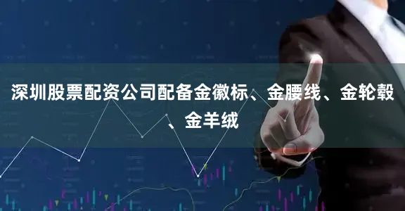 深圳股票配资公司配备金徽标、金腰线、金轮毂、金羊绒